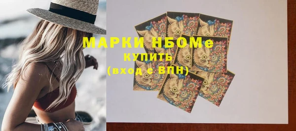 индика Лабытнанги