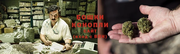 индика Лабытнанги