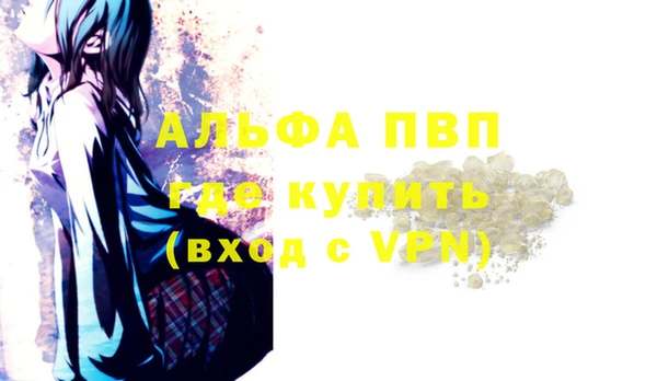 индика Лабытнанги