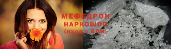 индика Лабытнанги