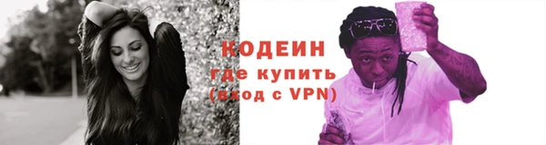 индика Лабытнанги