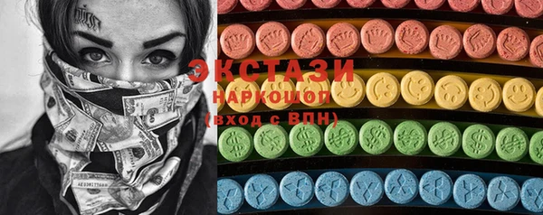 индика Лабытнанги