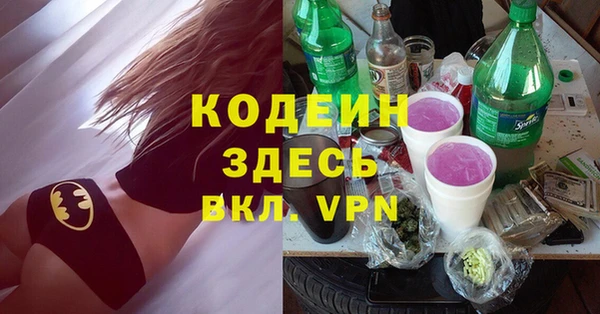индика Лабытнанги