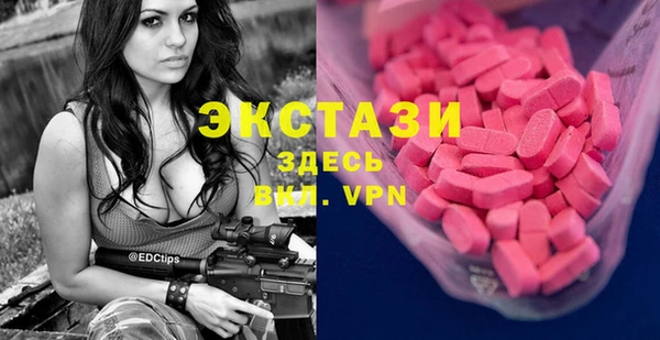 индика Лабытнанги