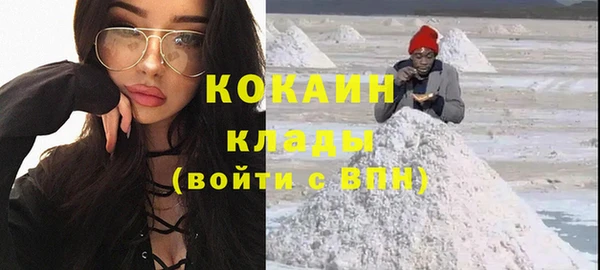 индика Лабытнанги