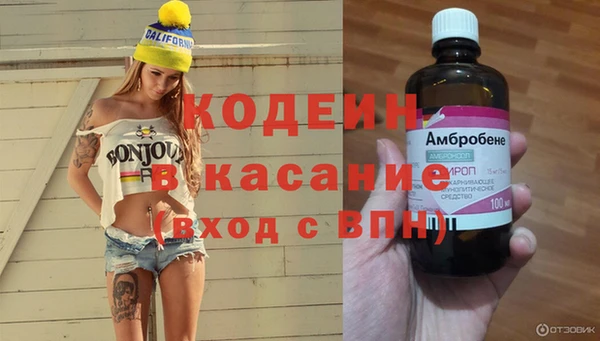 индика Лабытнанги
