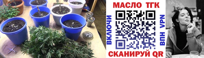 ТГК THC oil  маркетплейс как зайти  ОМГ ОМГ как войти  Минусинск  наркота 