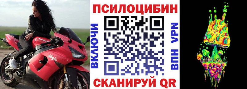 как найти наркотики  Минусинск  Псилоцибиновые грибы мухоморы 