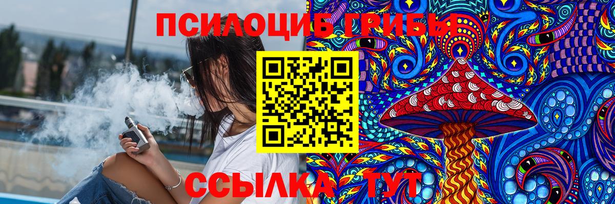 Минусинск  Псилоцибиновые грибы мухоморы  Вход с VPN 